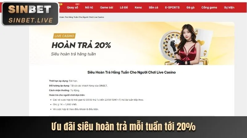Slot game BK8